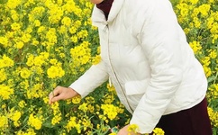 不知火舞3沙滩全集h